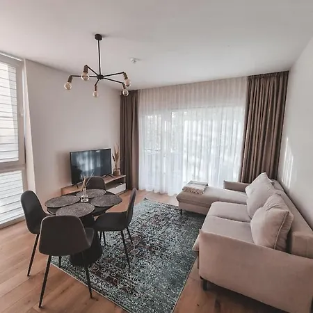 V12 * Παλάγκα